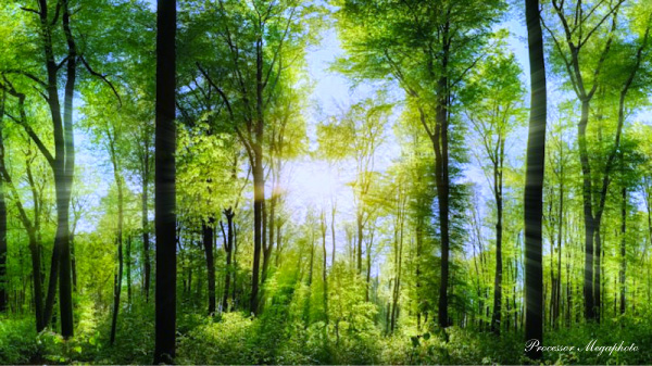 栗田里香　ATP認定コーチ space　ATP