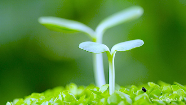 栗田里香　ATP認定コーチ space　ATP